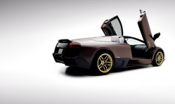 Cats Exotics Lamborghini